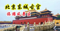 大吊日美女骚穴中国北京-东城古宫旅游风景区